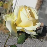 Apartamento I Girasoli
