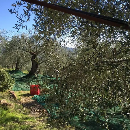 Appartamento I Girasoli Ventimiglia