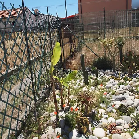 I Girasoli