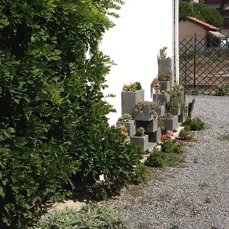I Girasoli *
