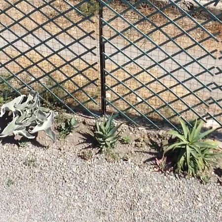 I Girasoli *