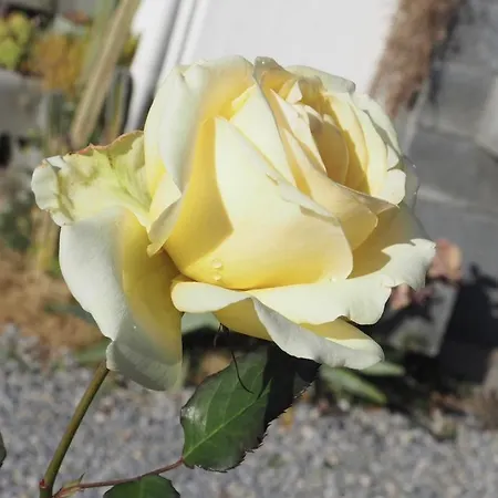 Apartmán I Girasoli